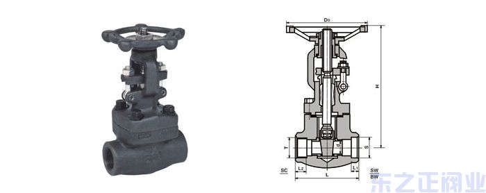 1-191203133435536.jpg 1-191203133435536.jpg